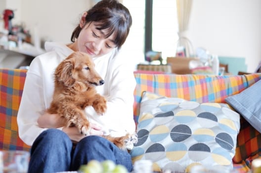 家族の一員だったペット供養の方法
