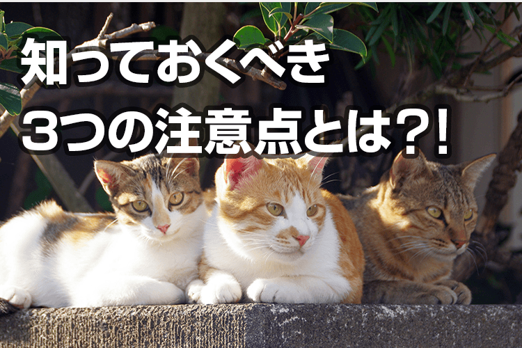 ペットを土葬するのは法律上ok 火葬はする 葬儀の方法や埋葬場所 ペット火葬 ペット葬儀税込8 500円 提携霊園あり供養相談も ペット葬儀110番